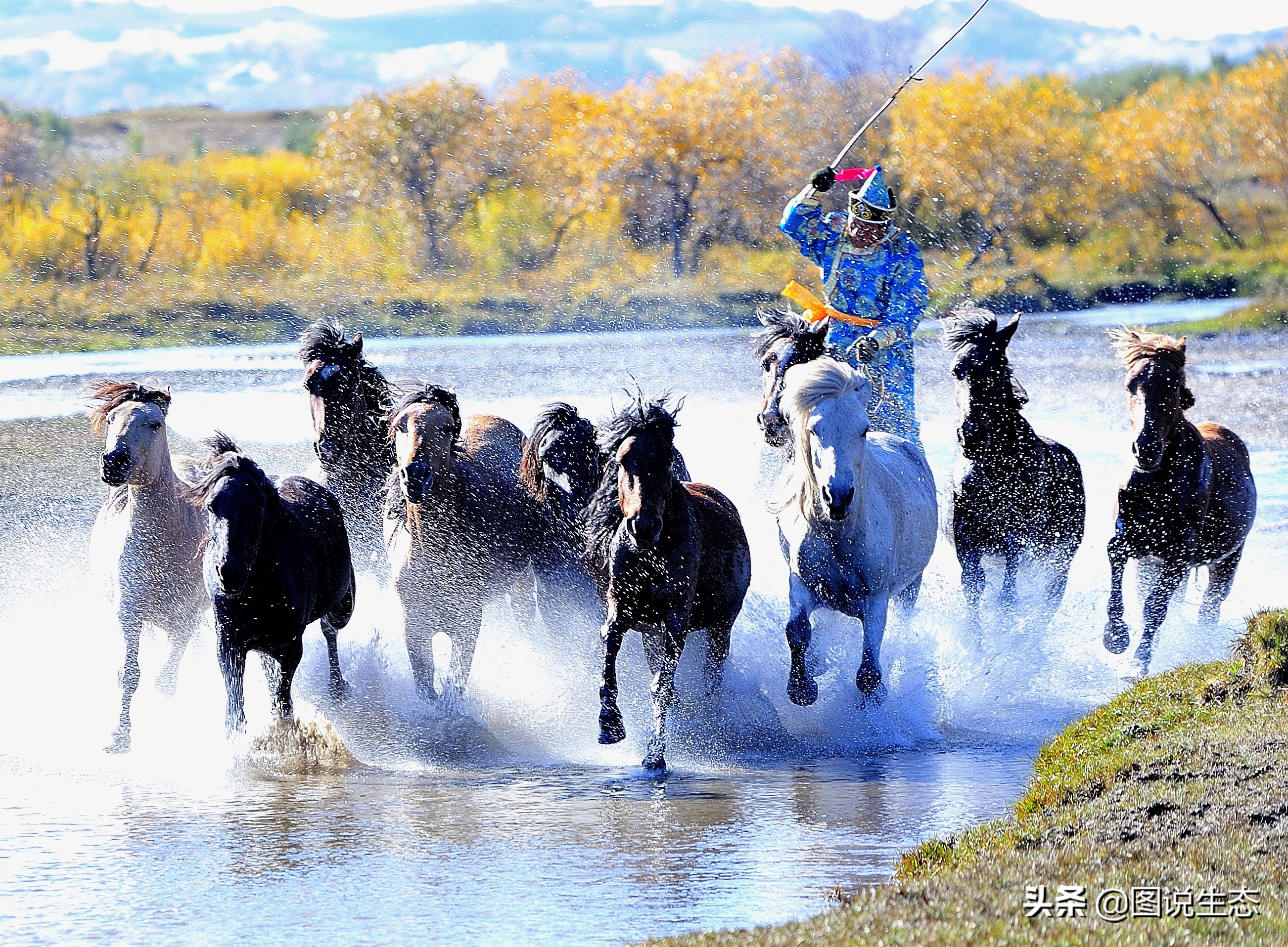 一口气看完塞罕坝全篇,参观塞罕坝有感1000字
