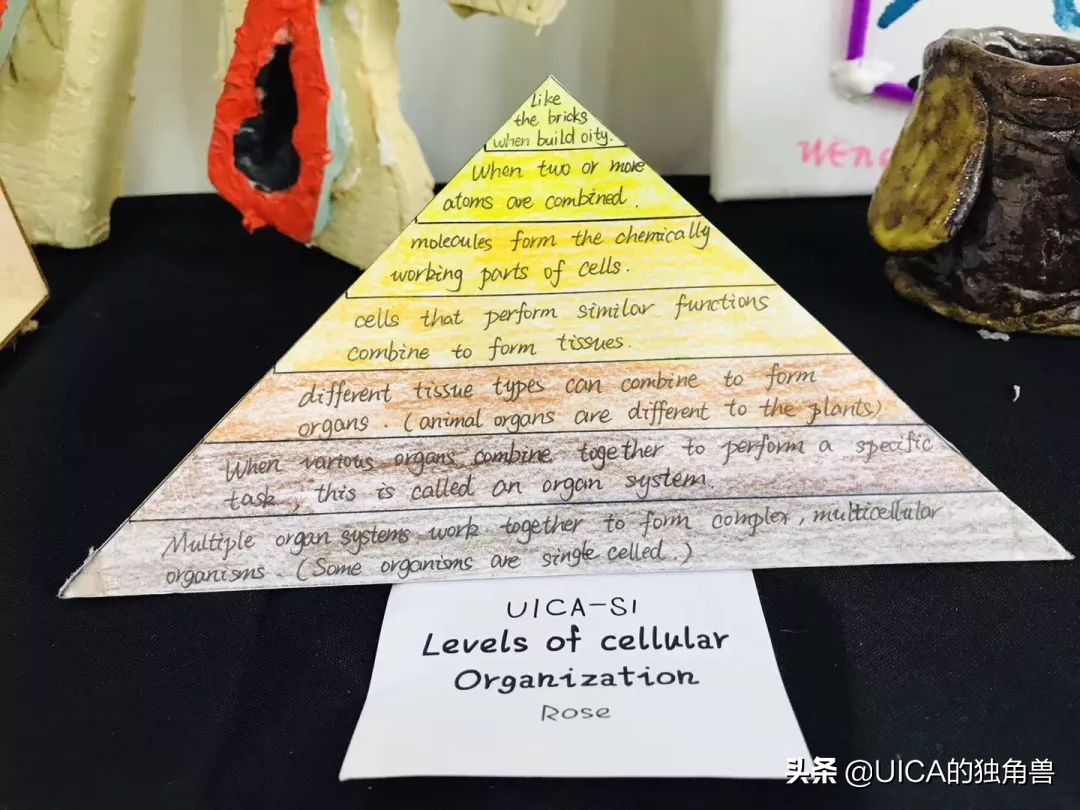 希望每一个孩子眼里都有光的成长,孩子在长大自己在成长