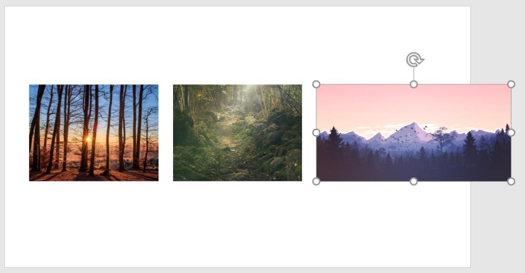 wpspowerpoint在哪里,wpsoffice做ppt要收费吗