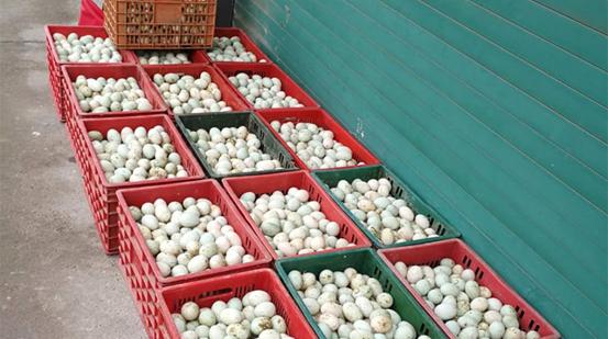 邮储银行海正药业抗疫贷款,邮储银行助力抗疫跑出新速度