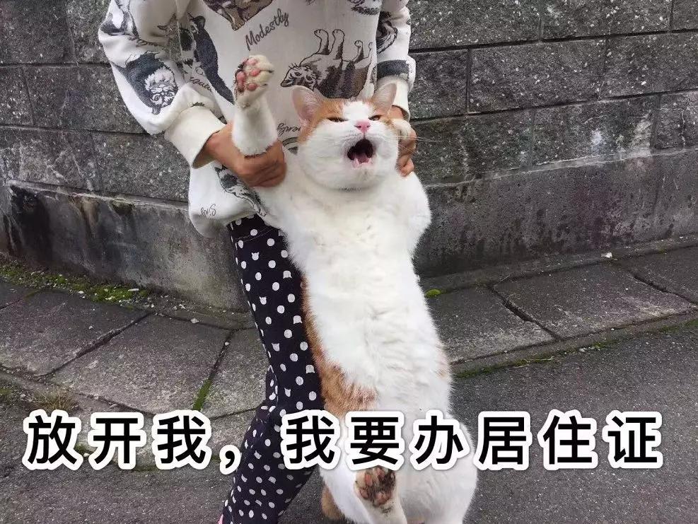 苏州办理居住证需要房东本人去吗,苏州办理居住证需要房东房产证吗