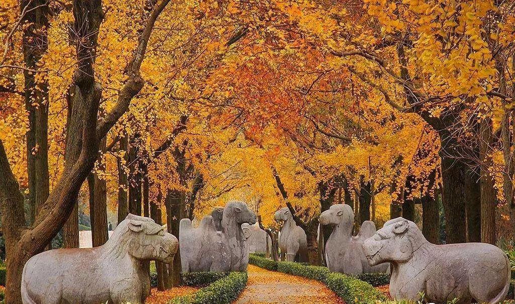 明孝陵神道石像摄影,明孝陵神道诗句