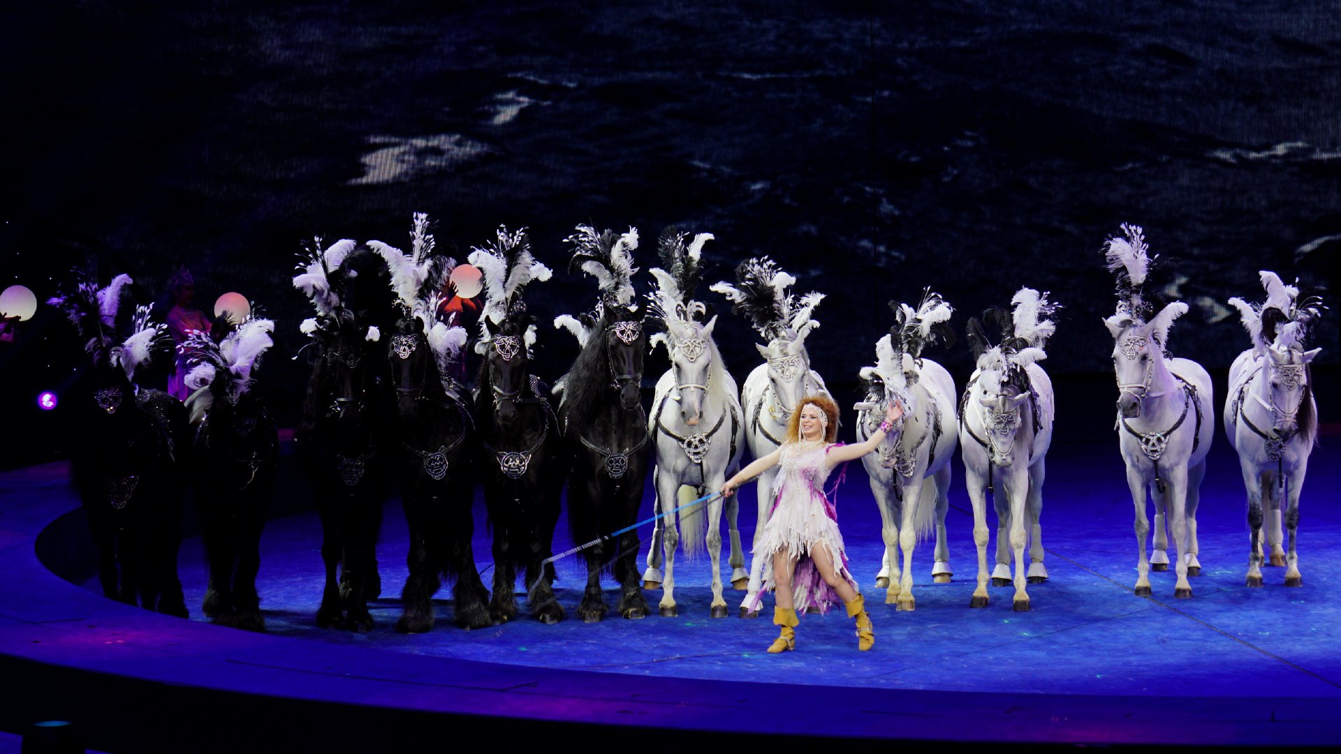 珠海长隆龙秀表演,珠海长隆大马戏龙秀还有吗