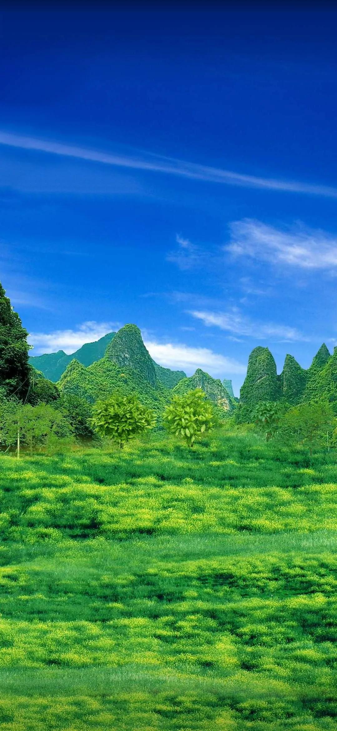 精美手机壁纸真是太美了,清晰到极致的手机壁纸图