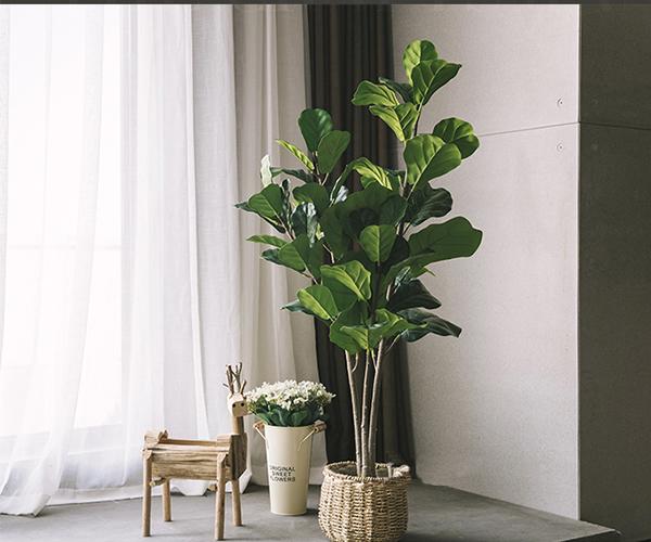 欧美风植物,极简现代风仿真植物