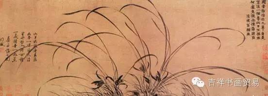 看看大家都是怎么画眉毛的,二月兰怎么画简单好看