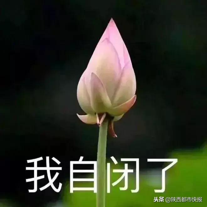 冲鸭开饭了表情包,肖战冲鸭表情包