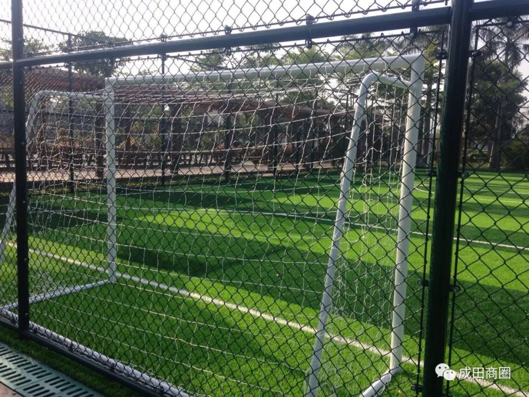 成田文体公园国庆,成田镇文体公园