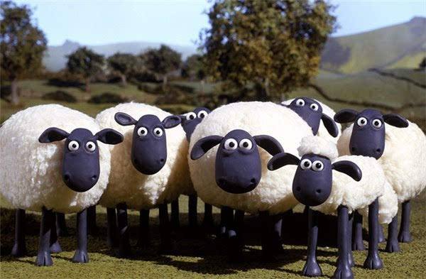 试客联盟做试客的经历是什么,试客联盟哪个平台最好