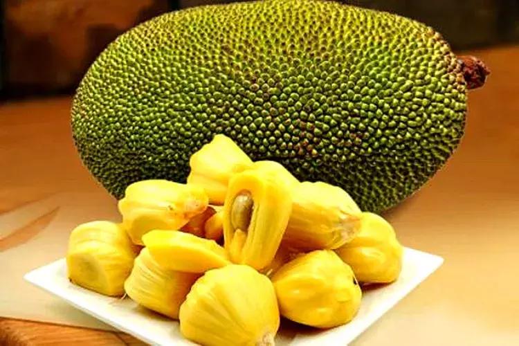 如何正确的挑选菠萝蜜 (挑选菠萝蜜以下技巧非常实用)