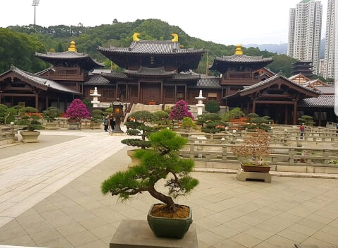 香港志莲净苑地图,香港志莲净苑好玩吗