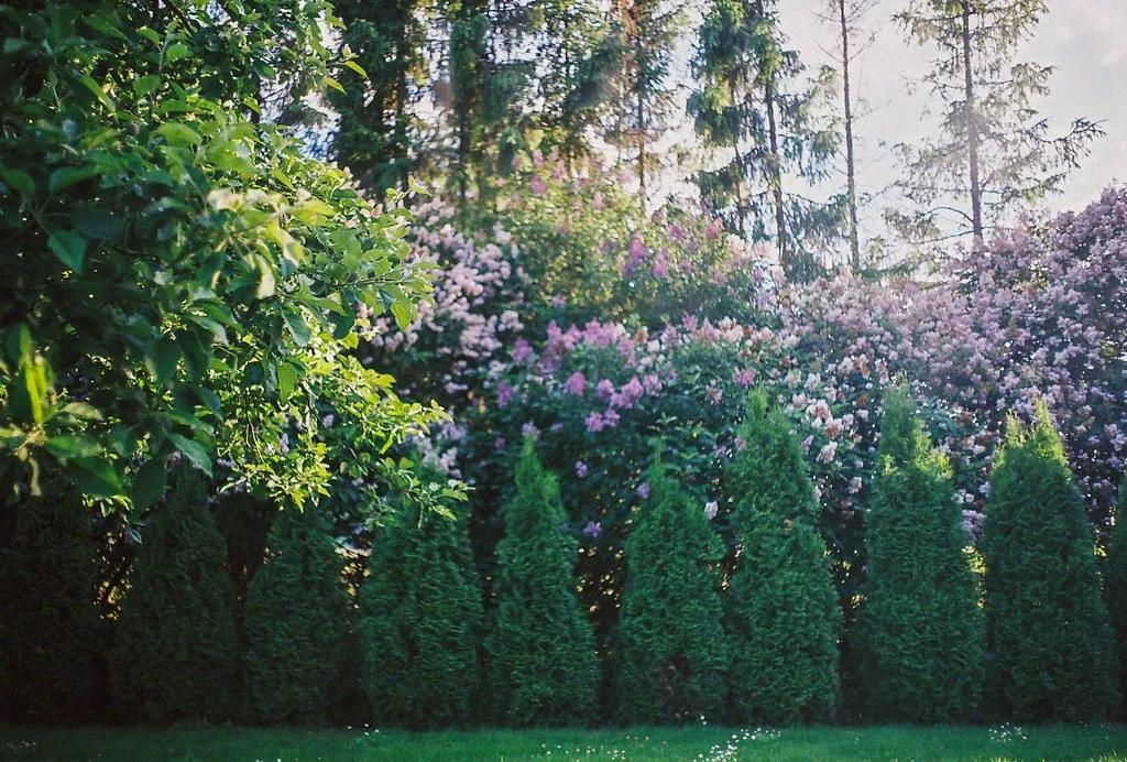 心中有花开人生春常在原文,心里有花开人生春常在