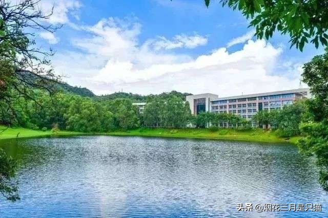 还在为选学校发愁吗,还在为选项目发愁吗