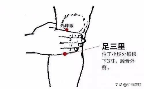 三伏贴敷冬病夏治正当时,三伏贴一些不可不知的小知识