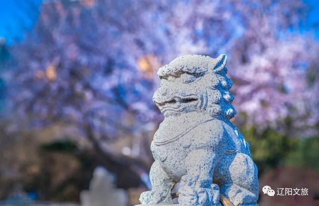 辽阳迎春灯会,辽阳迎春晚会