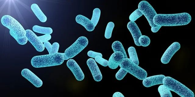 目前对合生元最官方的定义是什么,合生元是真的假的