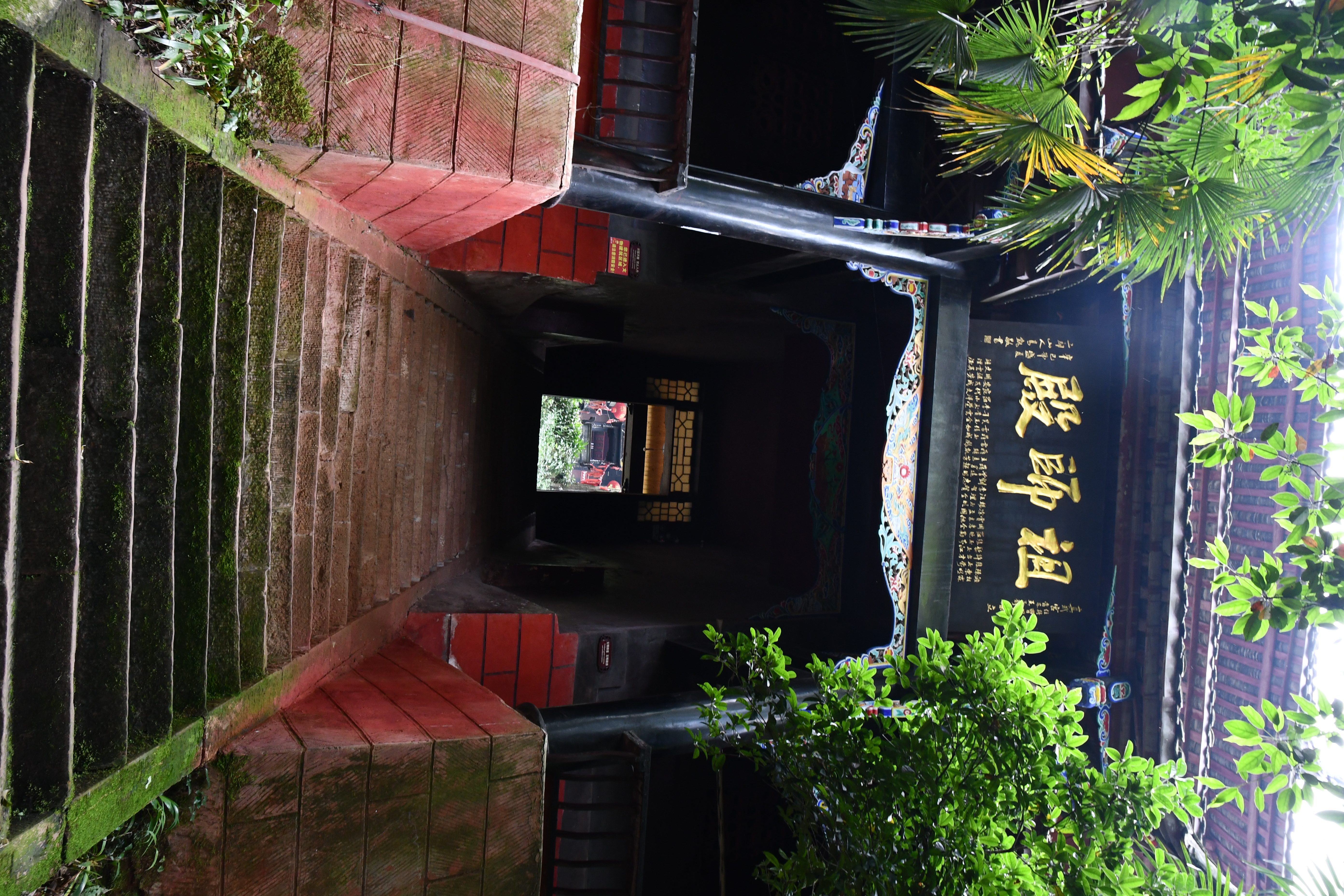 青城山一日游全攻略,乐山峨眉山青城山游攻略