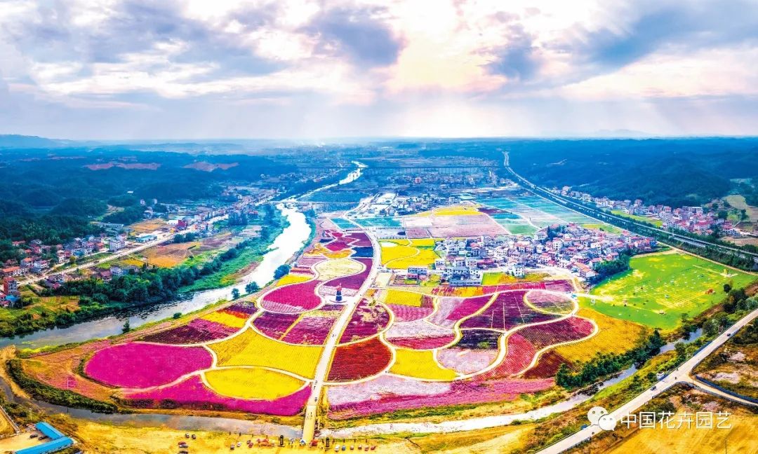 新品种选种的必经之路,加紧培育新品种有哪些