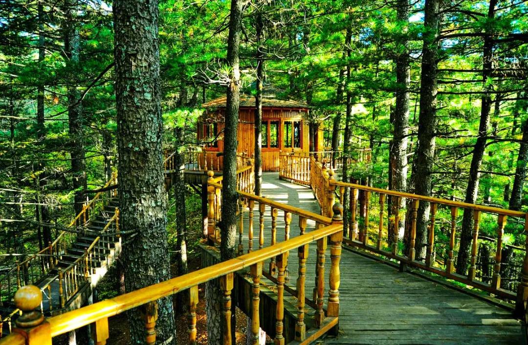 适合夏天去旅游的自驾路线,适合夏季的自驾游路线推荐