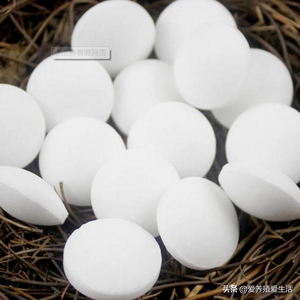 三农养鸡人鸡病防治知识分享,养鸡用不怕鸡病的方法