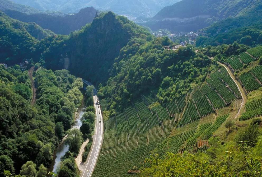 黑皮诺十大代表酒款,黑皮诺酒