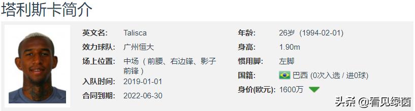 恒大巴西前锋,恒大前巴西外援名单