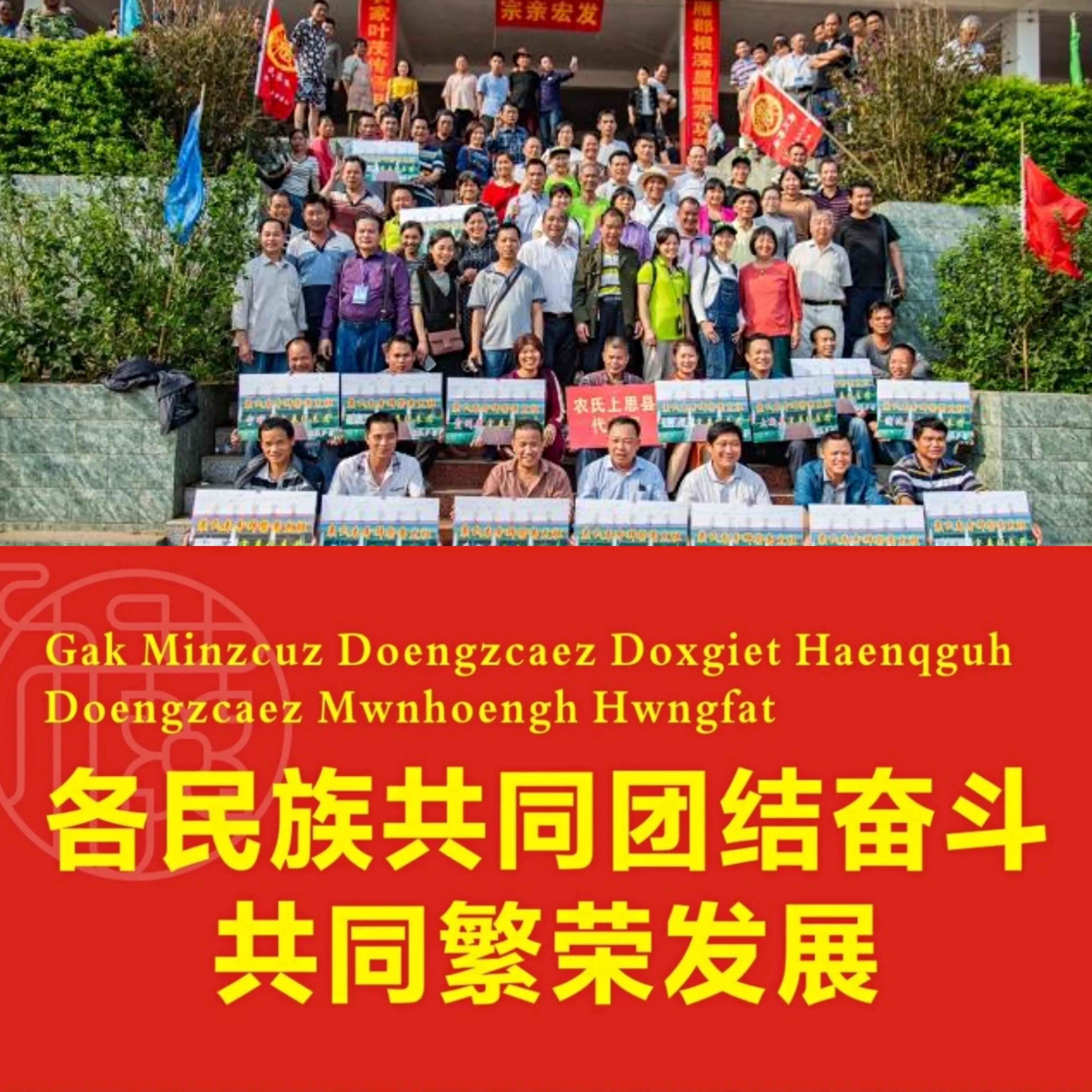 民族英雄侬智高,中国通史如何评价历史人物