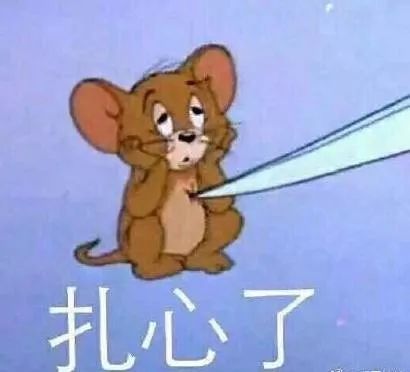 动物界的顶流,动物界熊猫顶流