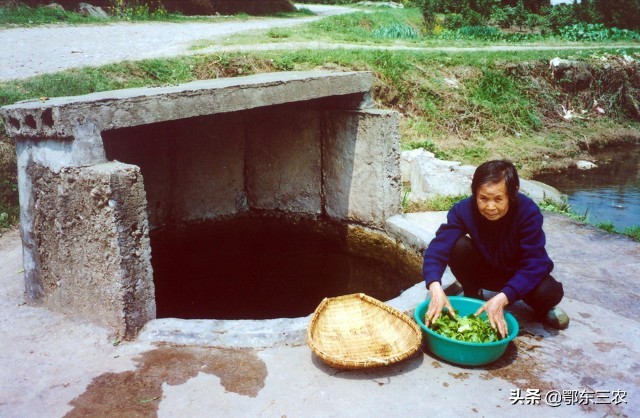 农村过去水井里，为什么总要养几条小鱼，挑水时候先看看鱼再挑？