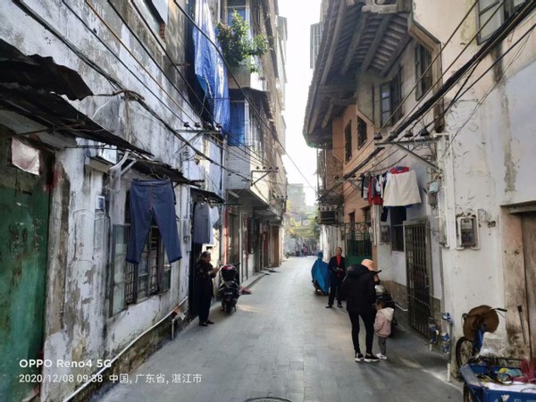 南国景色不曾秋,四时风光长如春,四)——广东行随笔之湛江篇