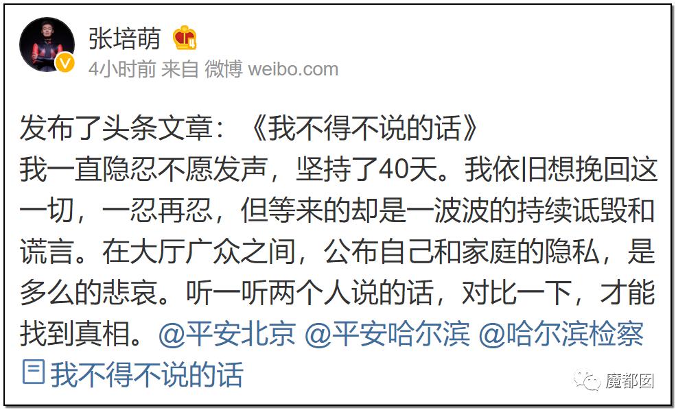 短跑名将张培萌被曝家暴,短跑名将张培萌殴打岳母被行拘