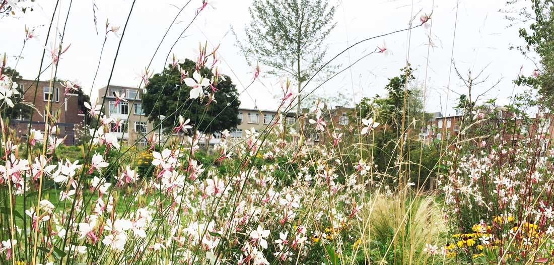 世界顶级营地设计,海外营地设计