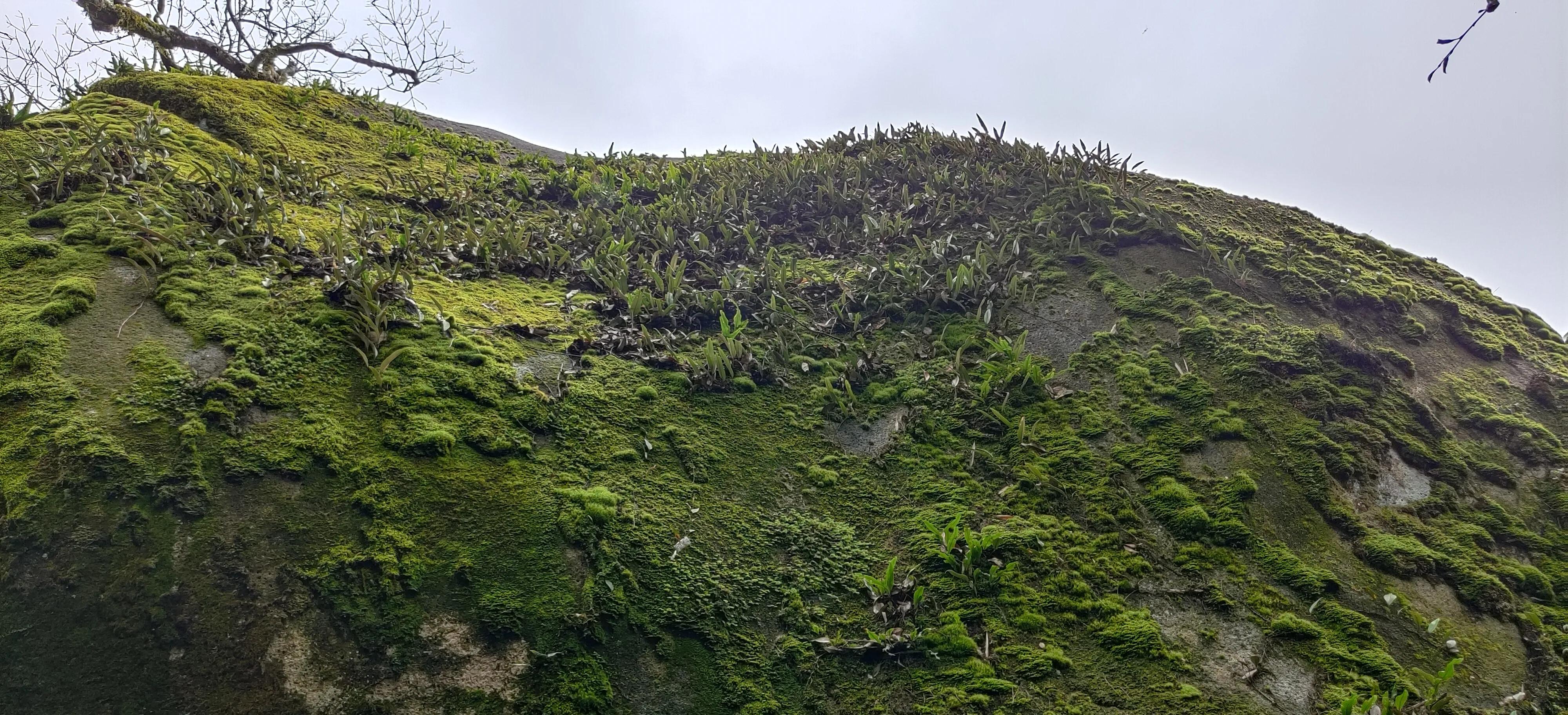 登上绝壁悬崖感受一览众山小,登上泰山之巅的感觉