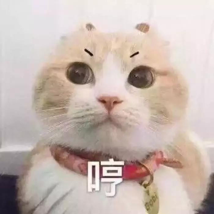 便宜好货妈咪包,拼夕夕妈咪包测评