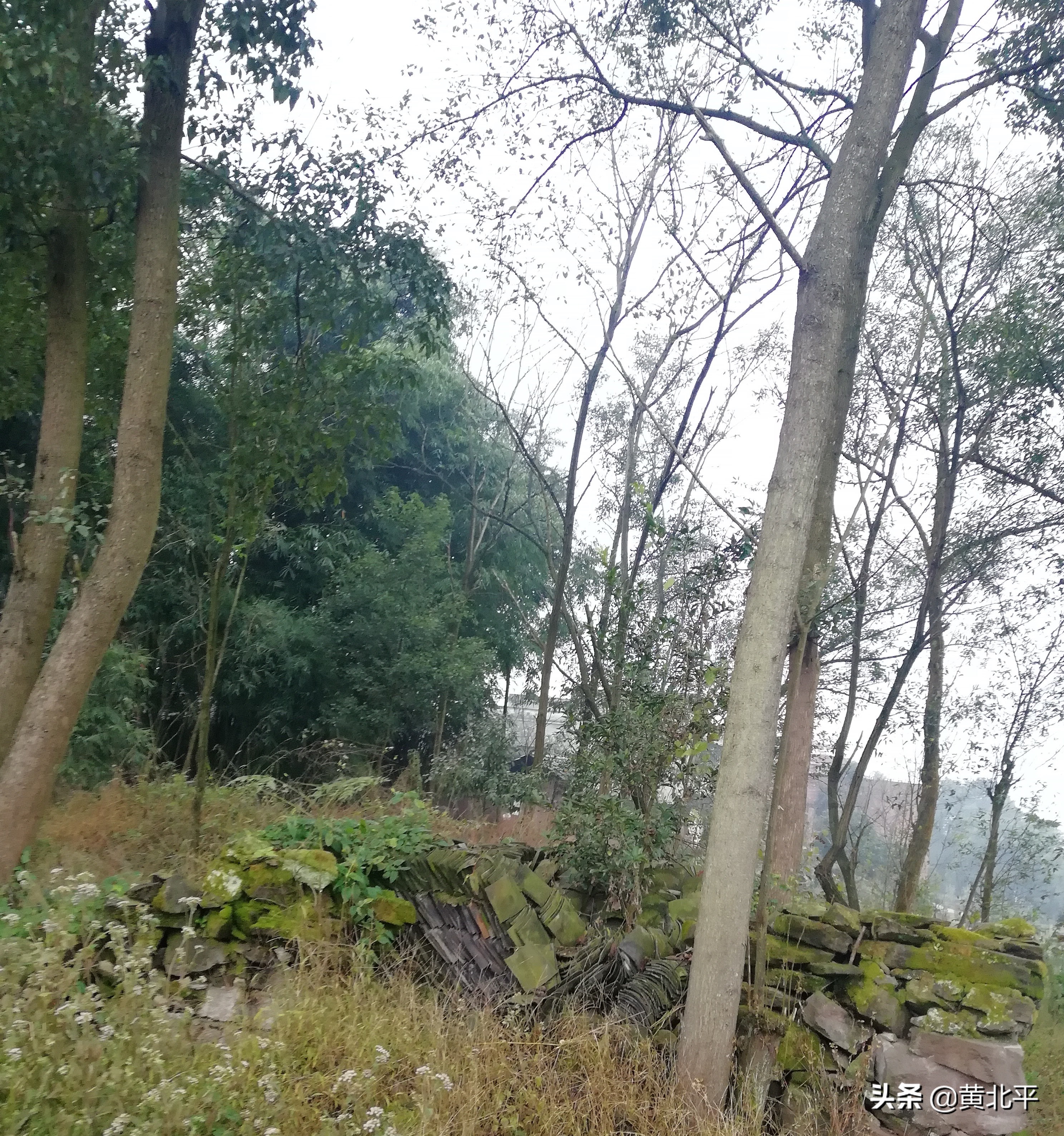 泸州神臂城遗址,老泸州遗址神臂城历史介绍