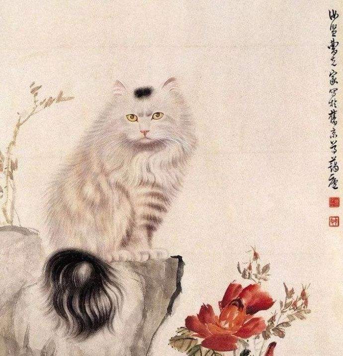 中华田园猫古代名称图鉴,古代人怎么挑选猫