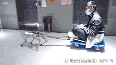 今年最火爆的智能机器狗,最新款智能机器狗推荐