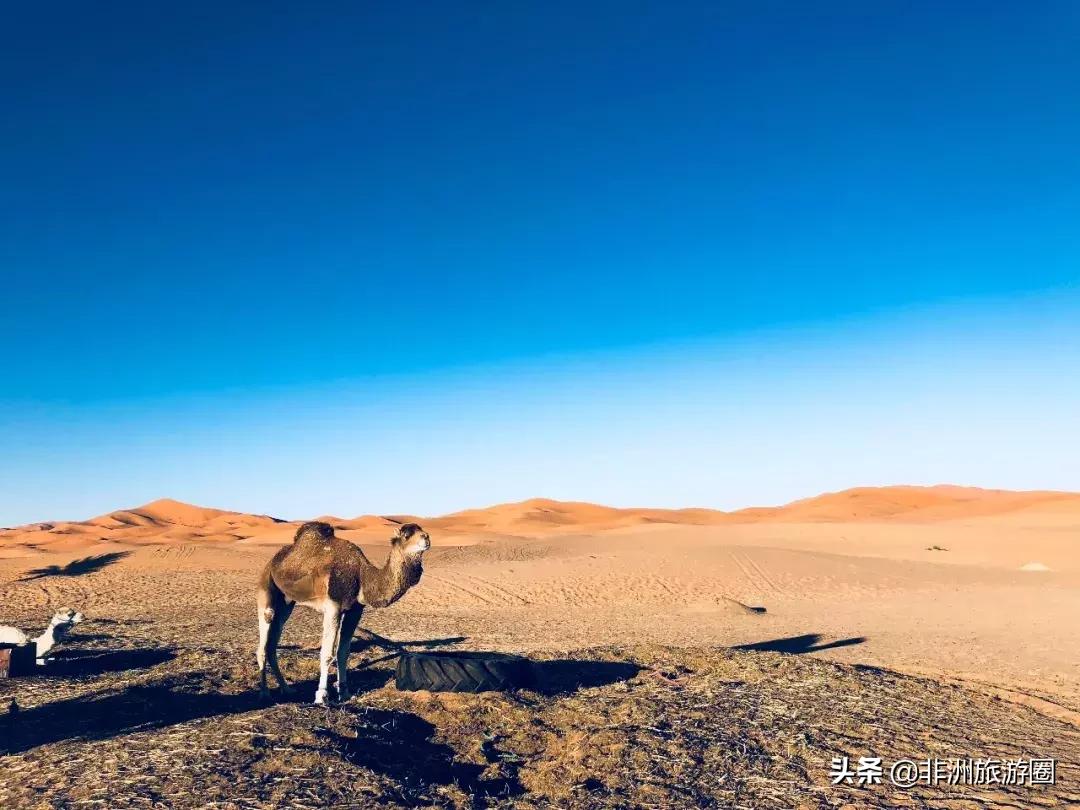 比欧洲便宜比希腊小众梦幻，这个免签的童话故事现实地千年摩洛哥