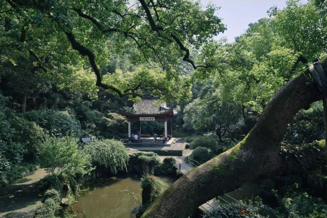 杭州十大绝美园林,杭州西湖园林风景