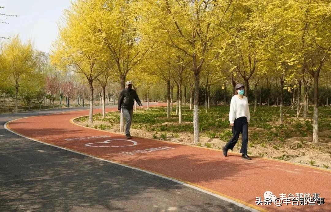 北京丰台区白盆窑健身步道,丰台健身步道规划哪家好