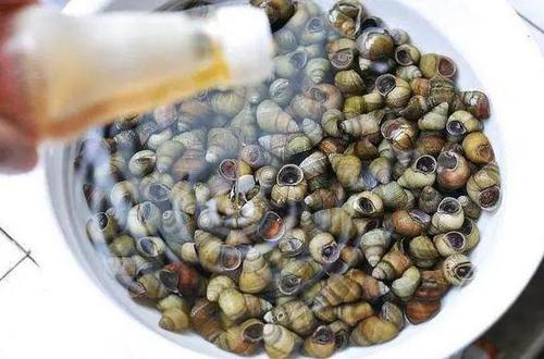 剪好的螺蛳怎么吐泥沙最快最干净,螺蛳剪掉尾部还可以吐干净泥沙么