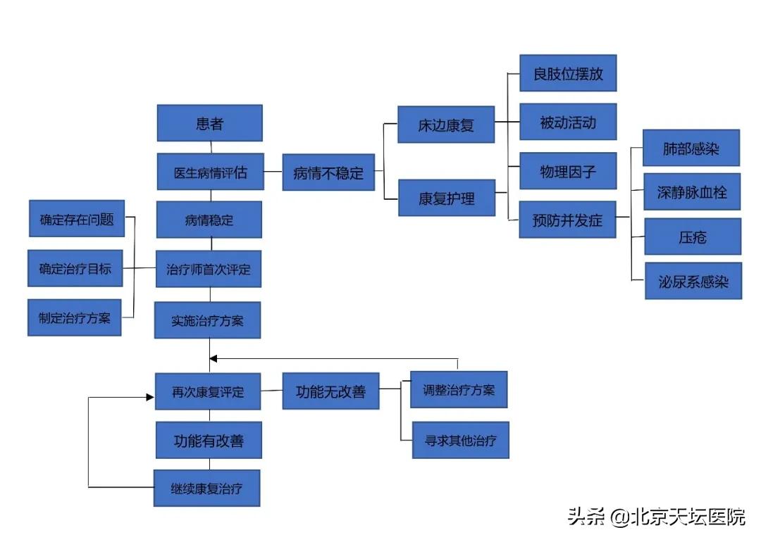 外骨骼康复机器人技术对比,脑机外骨骼