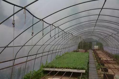 鏂板钩妗冨瓟鏉戞敮閮ㄤ功璁伴┈鍏変細,妗冨瓟鏉戞敮涔﹂┈鍏変細娓呭崕婕旇