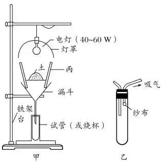 高中生物实验方法归纳图怎么画的,高中生物实验专题归纳