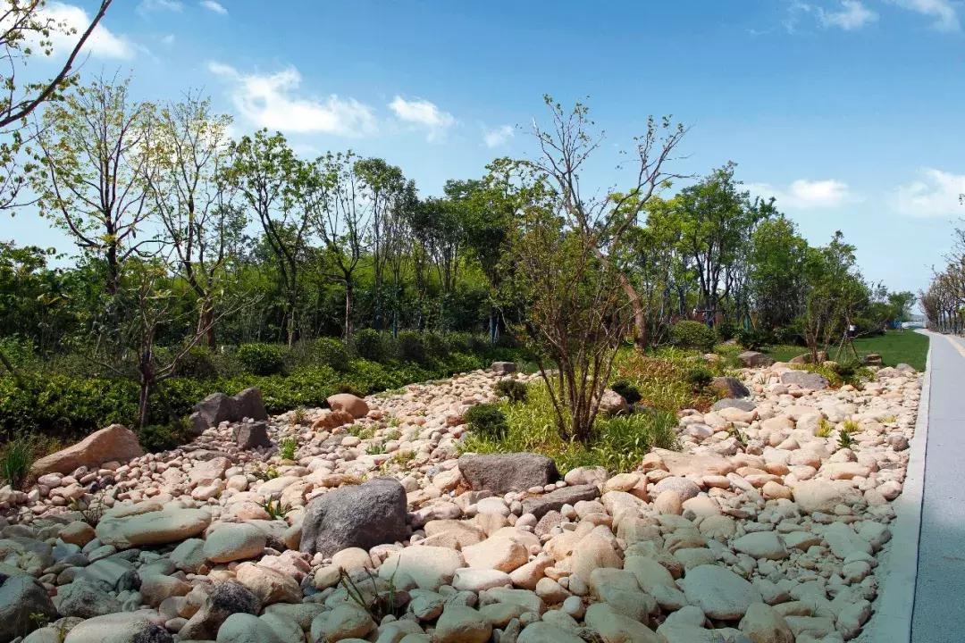 一石百景寸石丈情