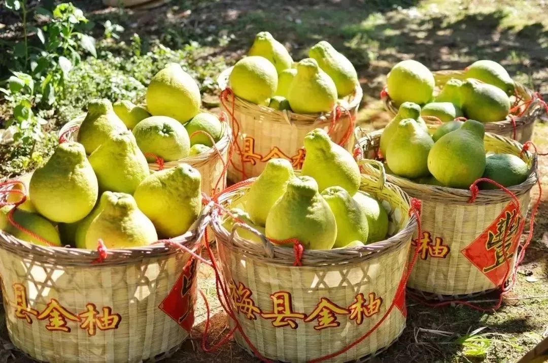 梅龙高铁有接赣深上下行线吗,梅龙高铁来了梅州广州只需15小时