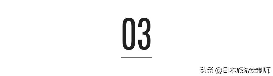 日本最美小景点,日本超美的花海美景