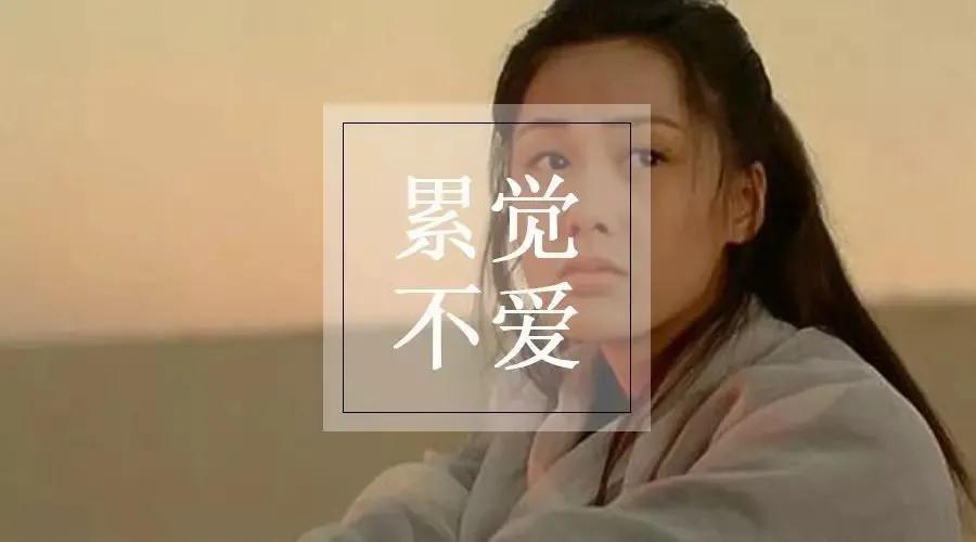 读一本好书让我们遇见更好的自己,学了圣经对你有什么帮助