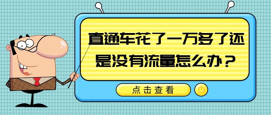 直通车开了半个月没有搜索流量,直通车为什么有流量没人咨询