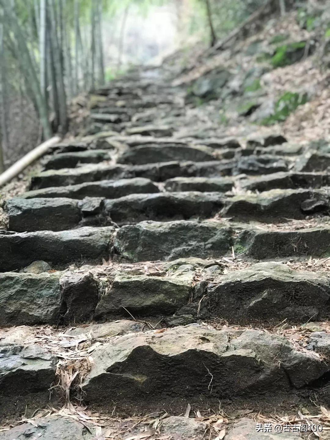 萧绍古道完整版,萧绍古道高度